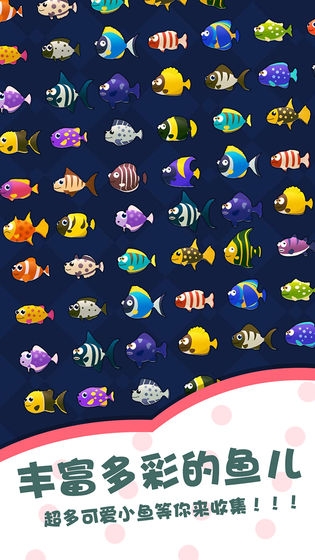 多多水族館分紅魚