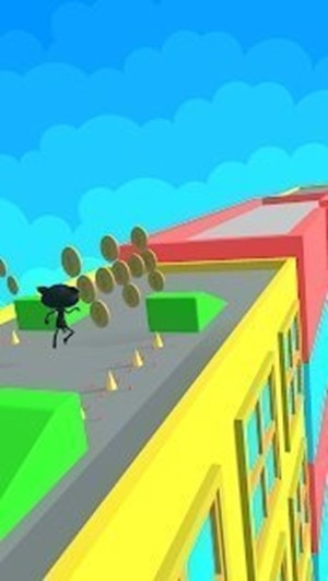 貓貓跳躍