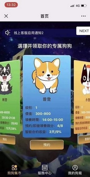 瘋狂愛犬
