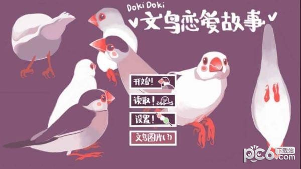 咕啾文鳥戀愛物語