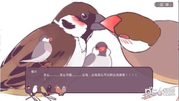 咕啾文鳥戀愛物語