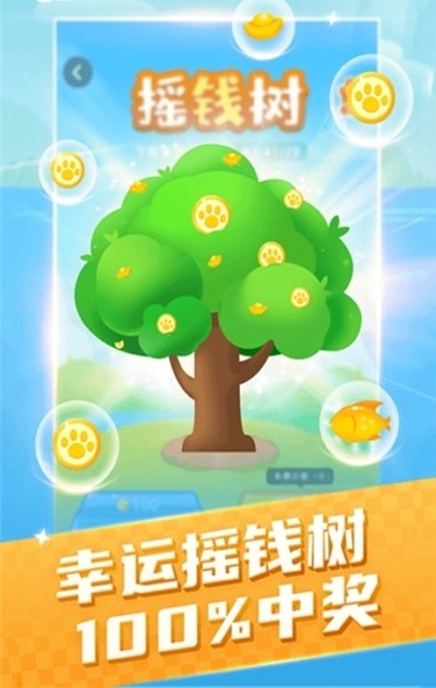 貓咪小家