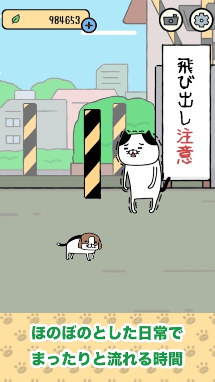 熊貓狗和貓