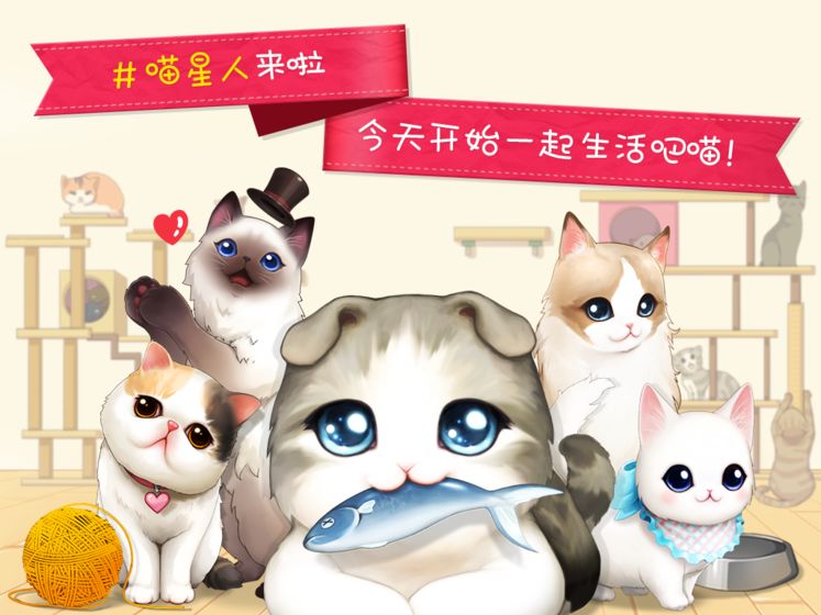 貓貓咖啡屋 果盤版