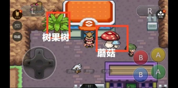 精靈寶可夢含光