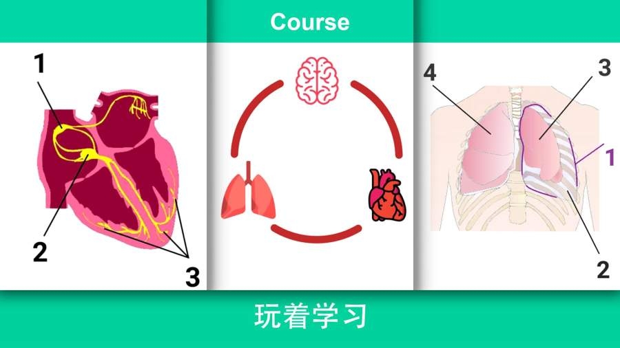 現(xiàn)實(shí)醫(yī)療模擬器