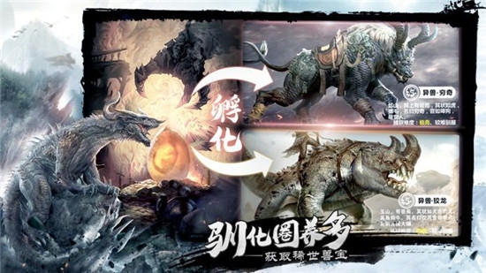 洪荒之太虛訣
