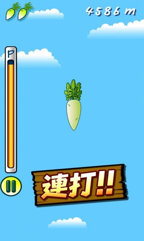 大根蘿卜火箭
