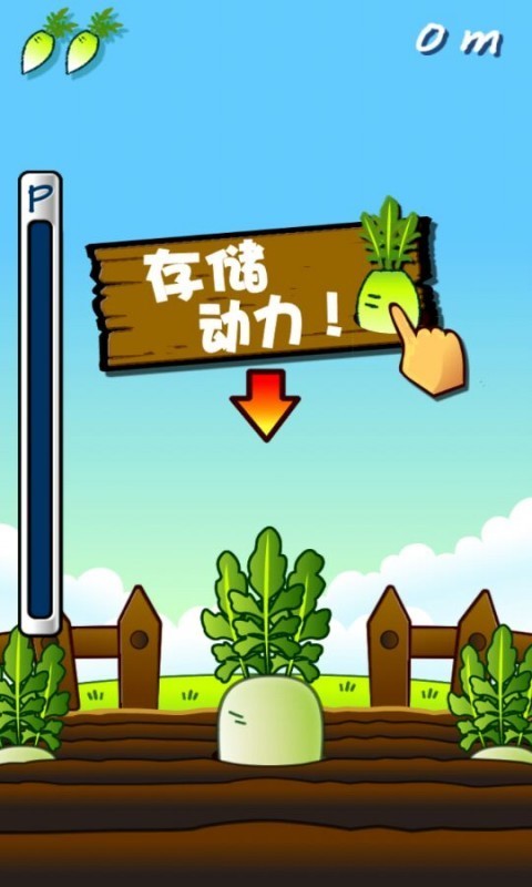 大根蘿卜火箭