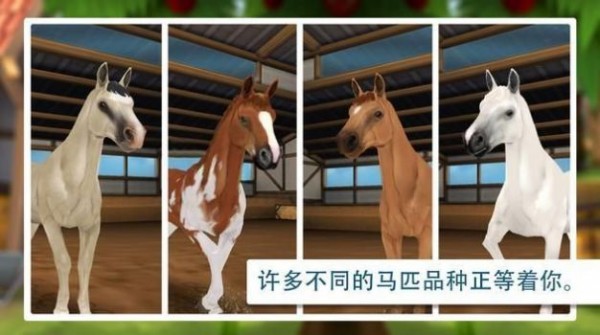 馬兒旅舍