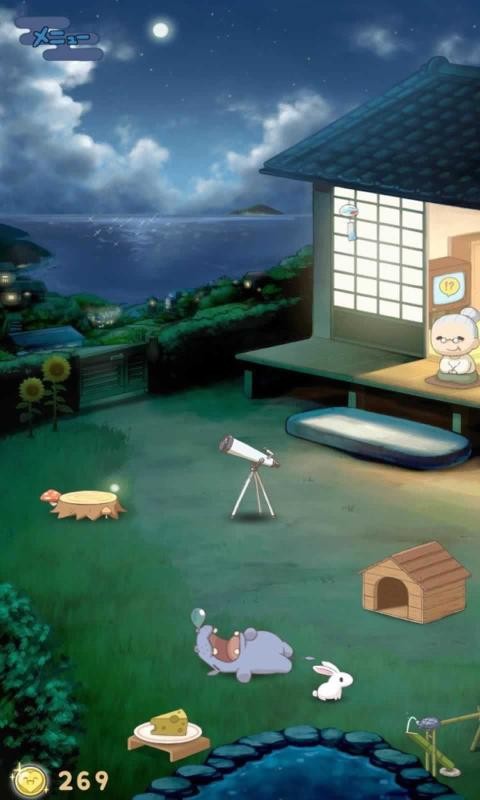 動物后院