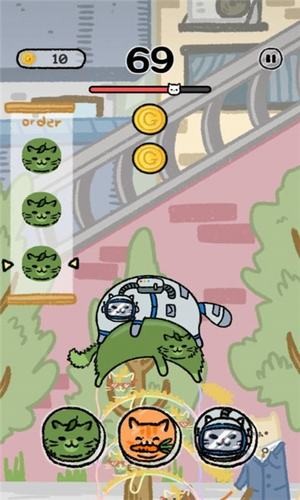 堆堆貓