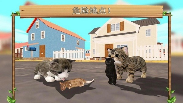 CatSim