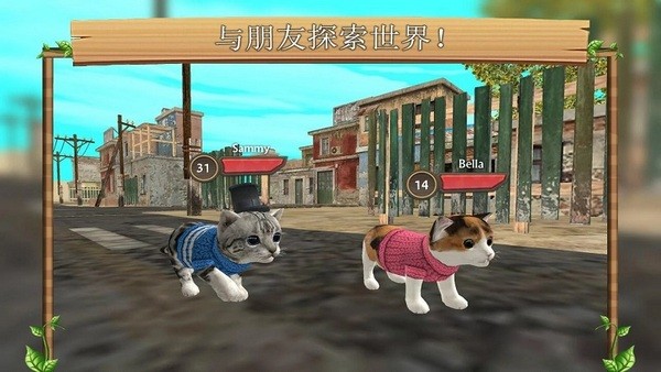 CatSim
