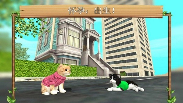 CatSim