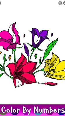 鮮花著色書