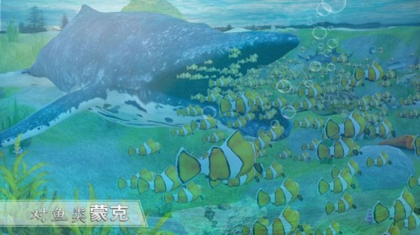 全民養(yǎng)鯨魚