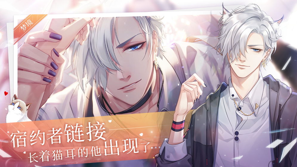 貓之宿約者 官方版