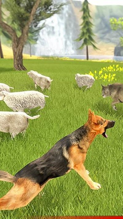 牧羊犬模擬器