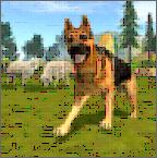 牧羊犬模擬器