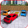豪華停車場大師