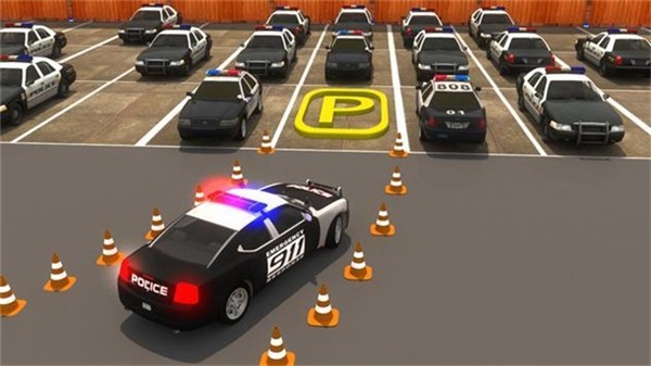 真實警車停車場