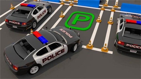 真實警車停車場