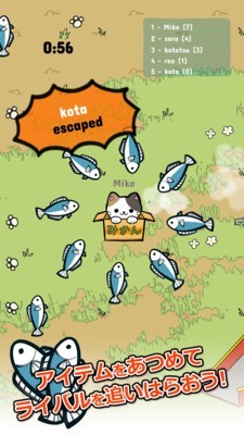 公園里的野貓