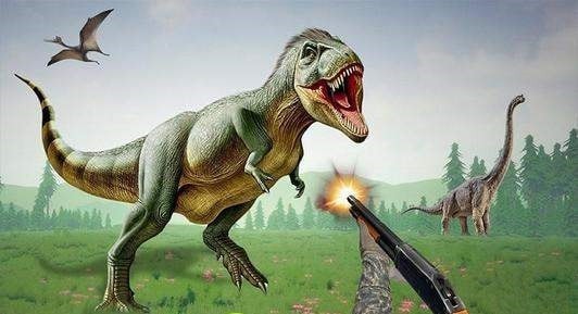 鯊魚狩獵動物射擊