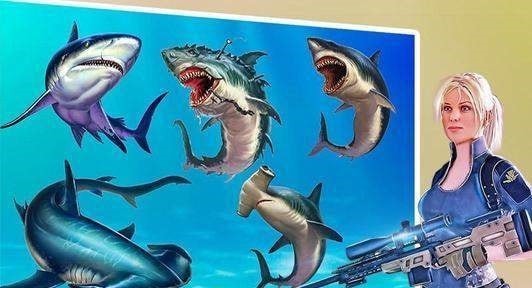 鯊魚狩獵動物射擊