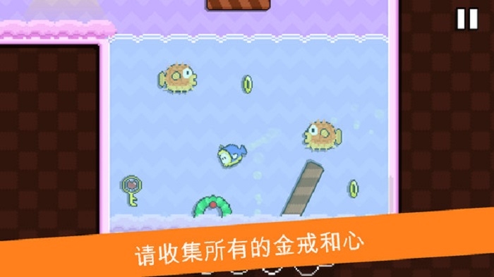 小嗨皮歷險記