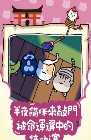 貓咪的庭院物語(yǔ)