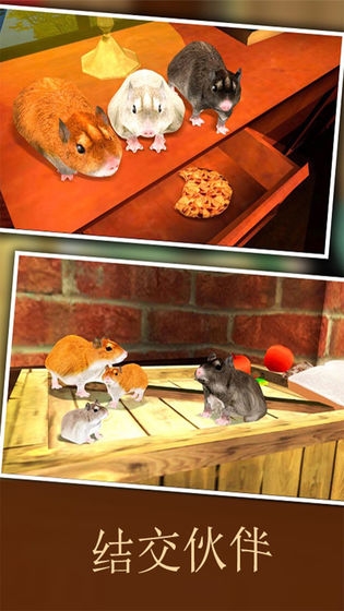 瘋狂地鼠3d模擬