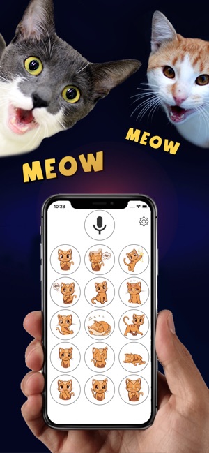 貓翻譯