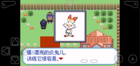 口袋妖怪劍盾漢化手機(jī)版