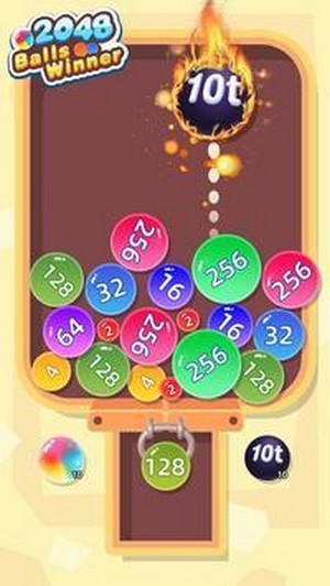 2048球冠軍