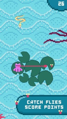 休閑青蛙