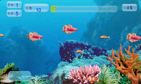 魚兒向前沖