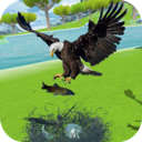 金鷹生存模擬器