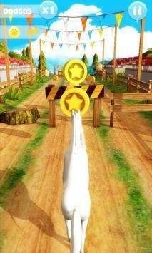 賽馬奔跑