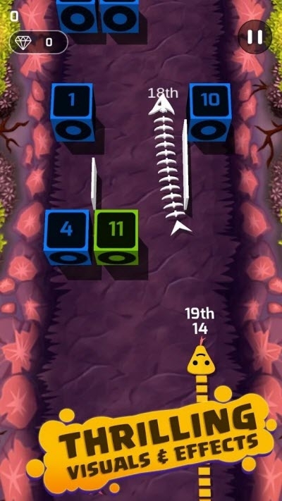 Snake Beats節拍蛇