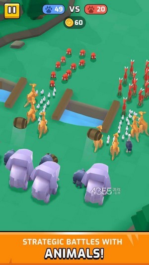動物大混戰