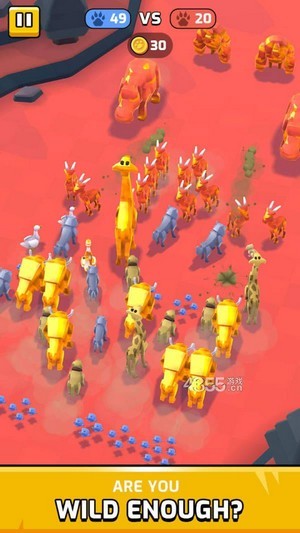 動物大混戰