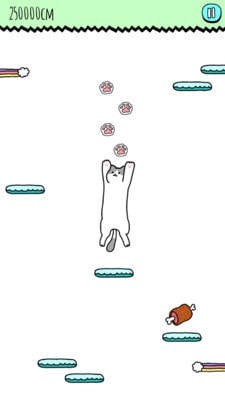 空中貓咪