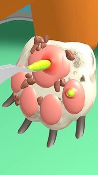 爪子護(hù)理