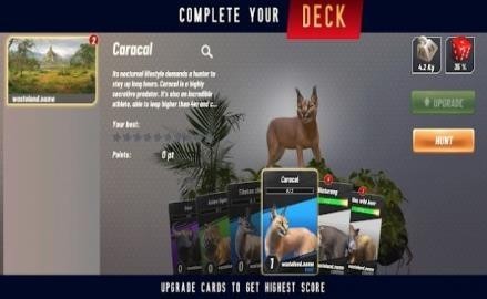 Animal Clash