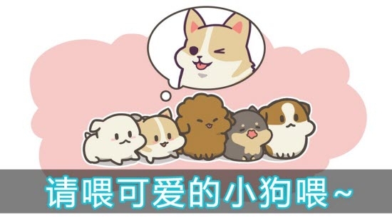 喂養小狗