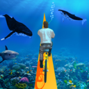 海底特技自行車