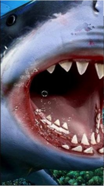 狩獵食人鯊