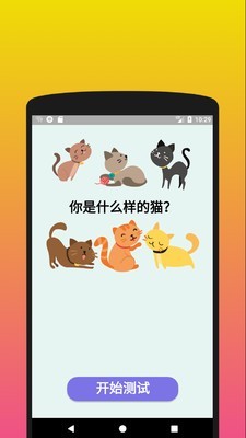 你是什么樣的貓